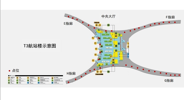 描述