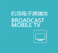 描述